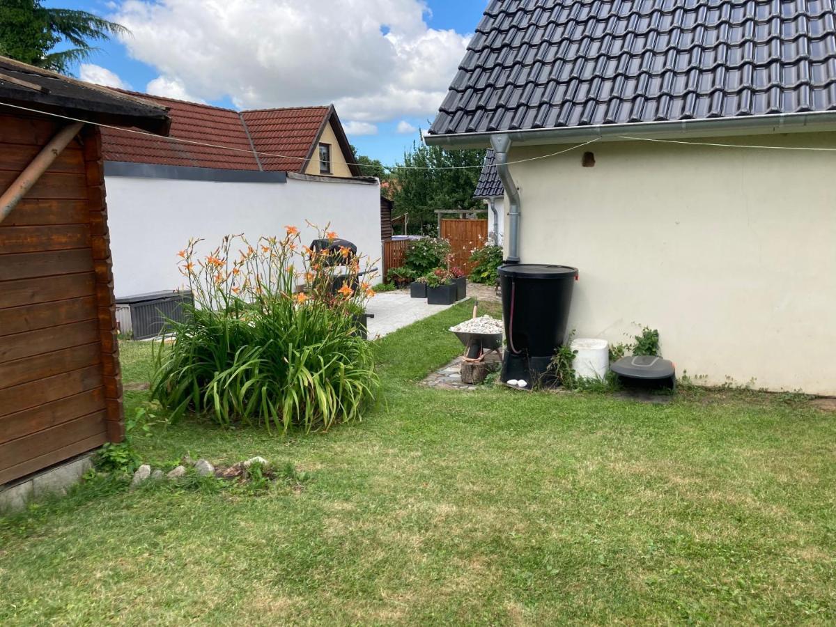 Ferienhaus Stralsundia エクステリア 写真