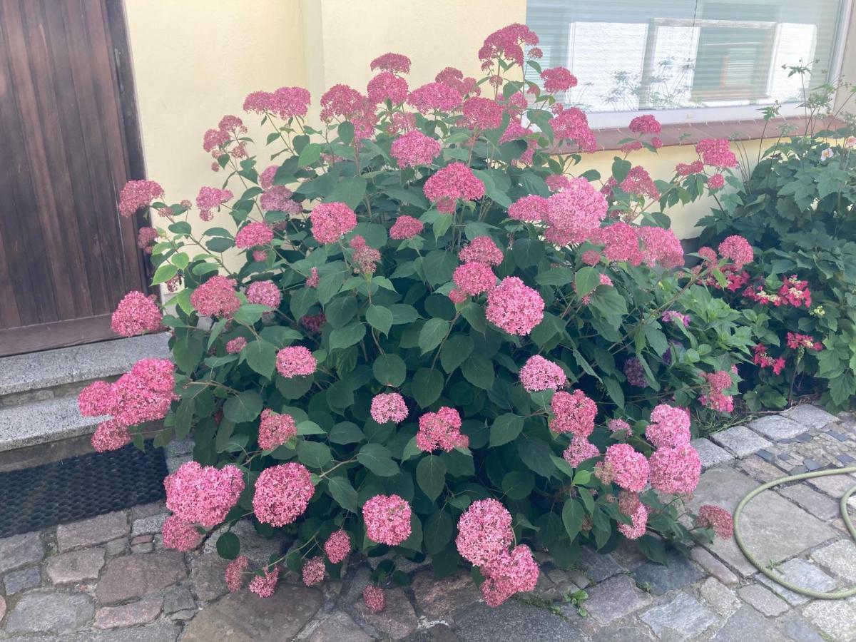 Ferienhaus Stralsundia エクステリア 写真